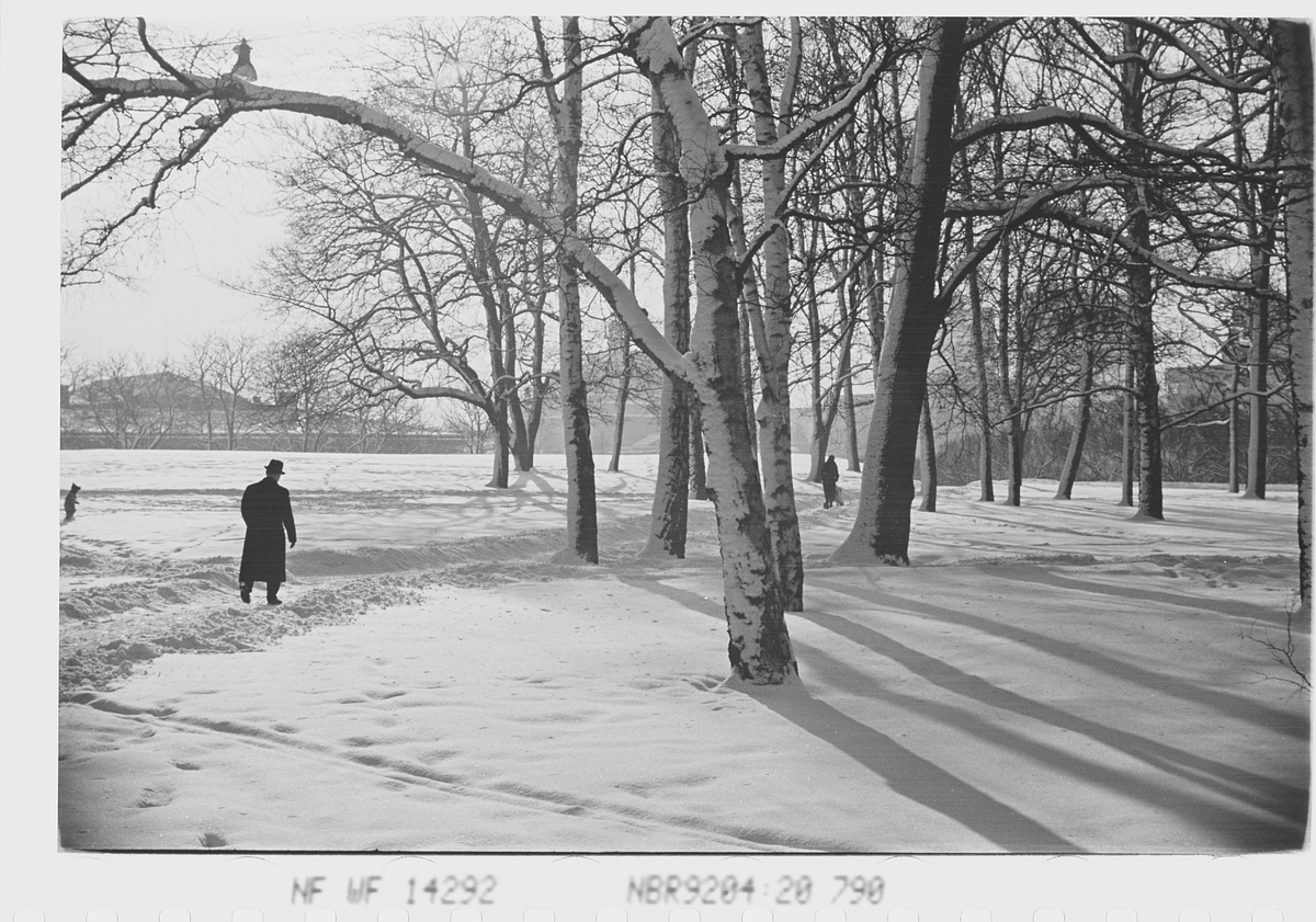 Anders Beer Wilse, Prot: Vinter Slottsparken