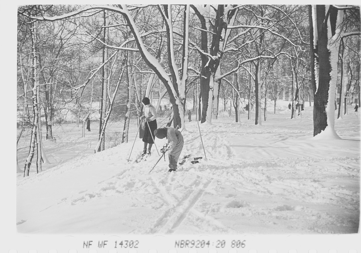 Anders Beer Wilse, Prot: Vinter Slottsparken