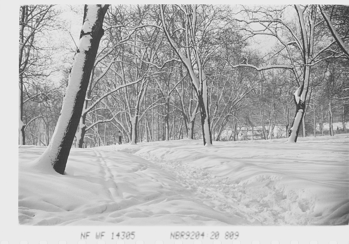 Anders Beer Wilse, Prot: Vinter Slottsparken