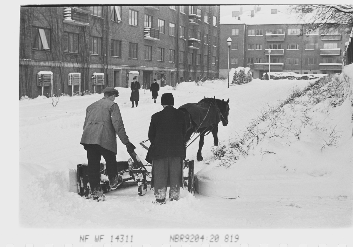 Anders Beer Wilse, Prot: Vinter Snerydning plog