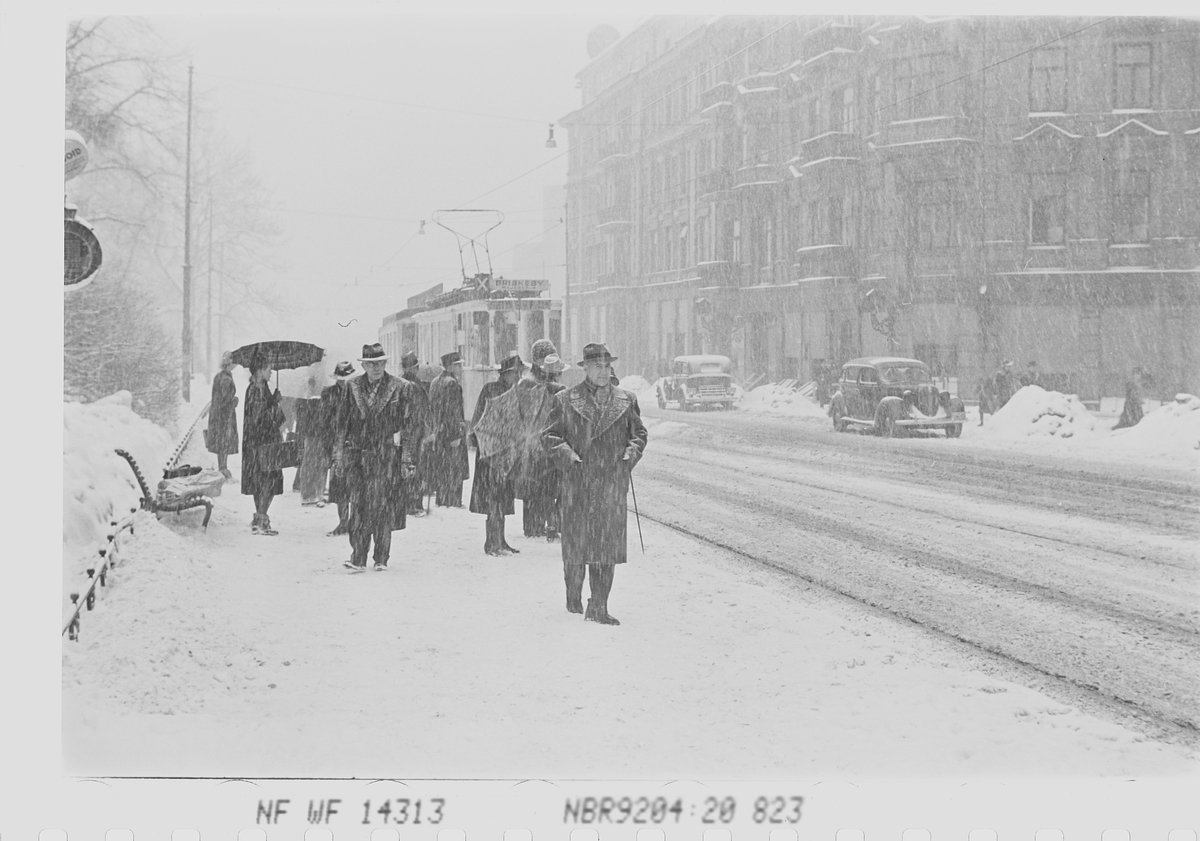 Anders Beer Wilse, Prot: Sneveir gatebilder