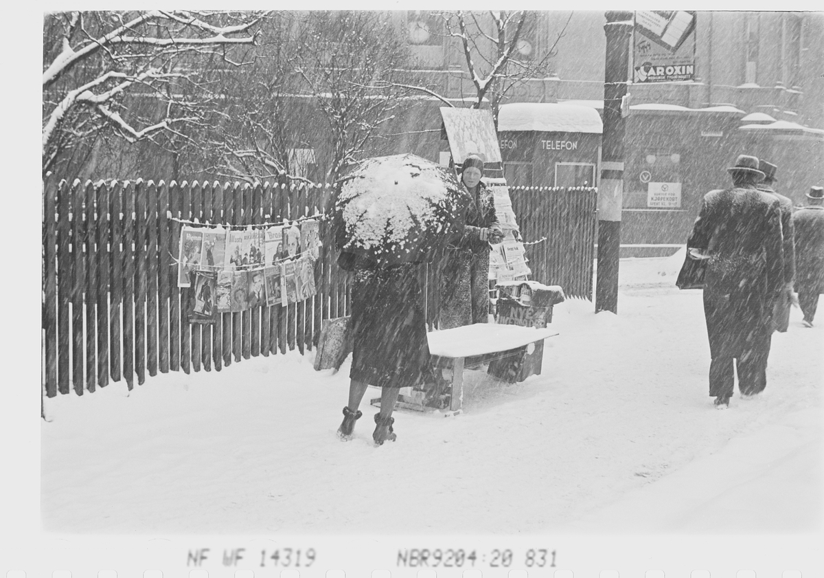 Anders Beer Wilse, Prot: Sneveir gatebilder