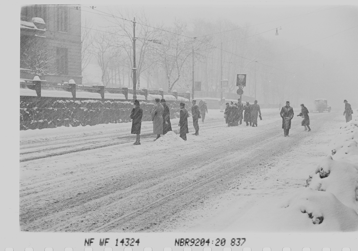 Anders Beer Wilse, Prot: Sneveir gatebilder
