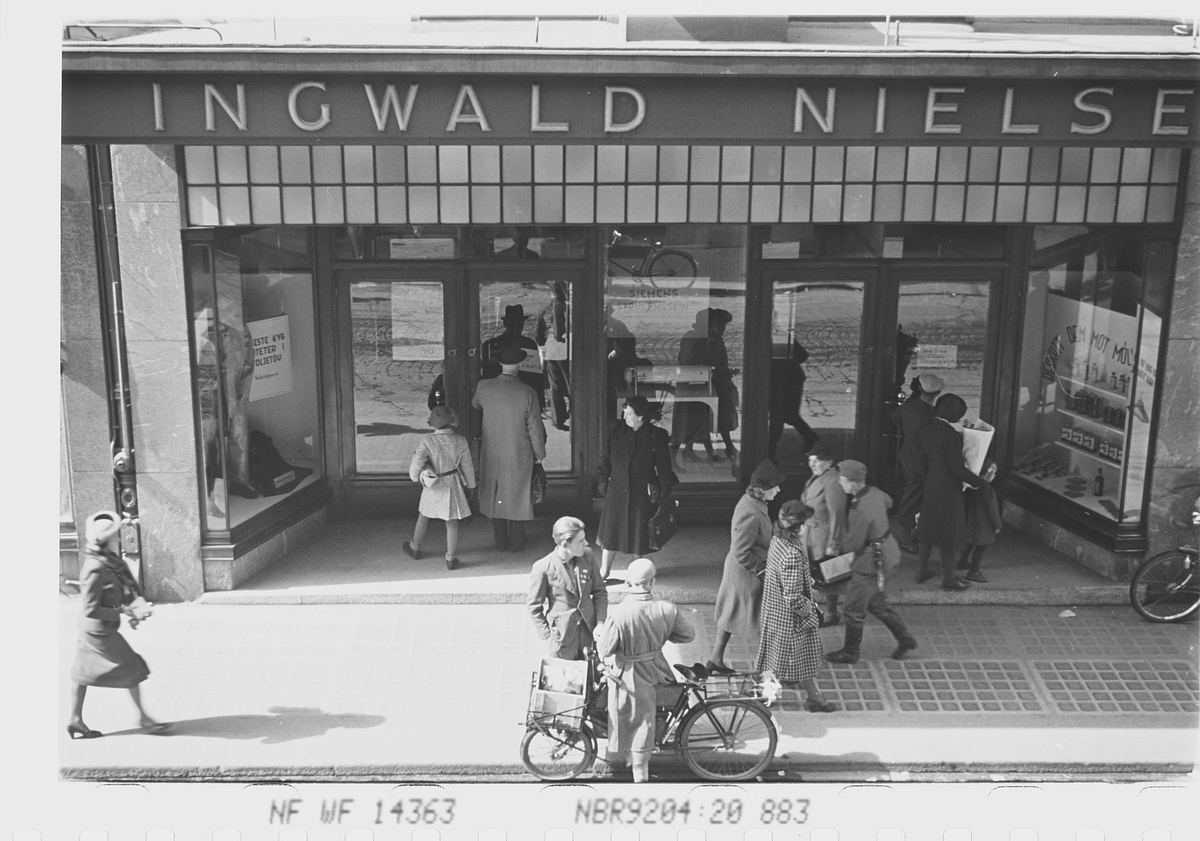 Anders Beer Wilse, Prot: Innfangst av reven (feil i prot)