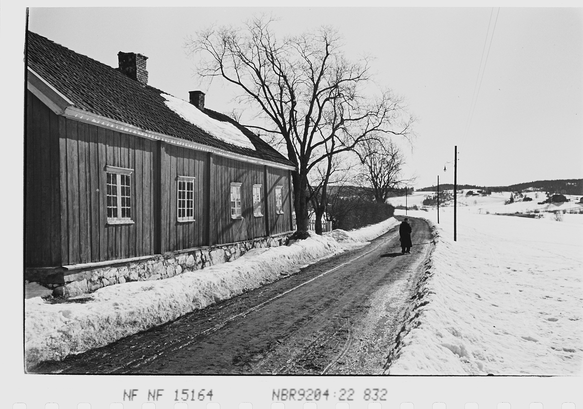 Anders Beer Wilse, Prot: Vår på veien