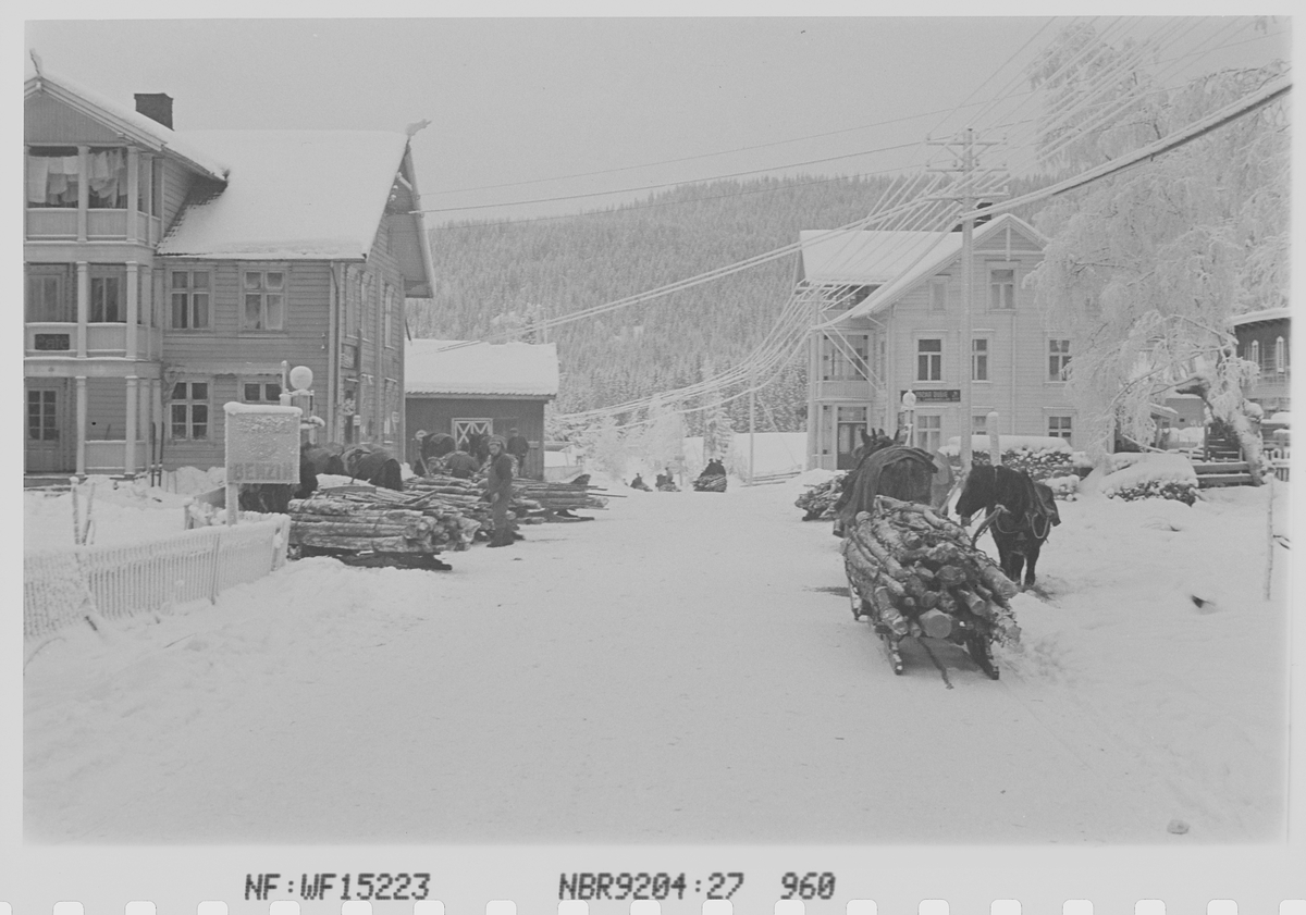 Anders Beer Wilse, Prot: Vinter Vedsaging