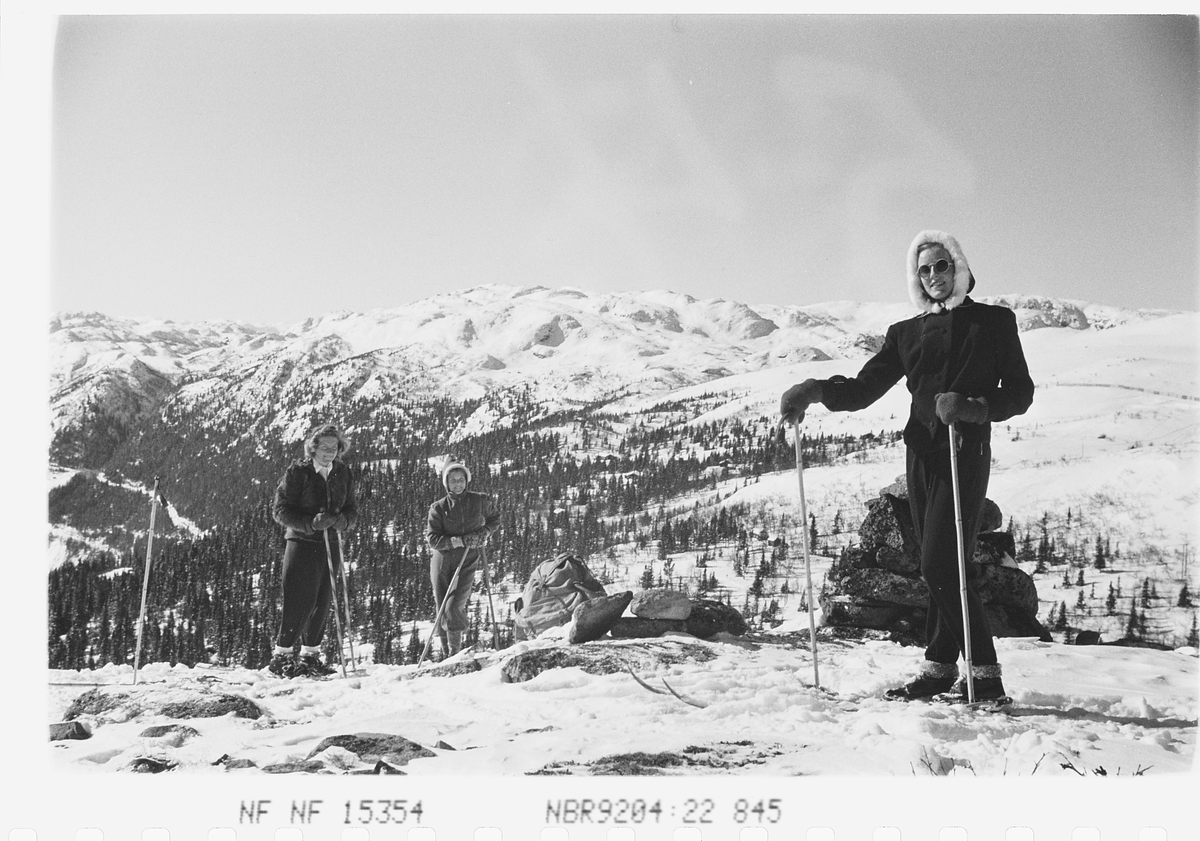 Anders Beer Wilse, Prot: Skidamer