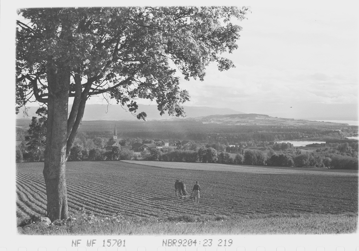 Anders Beer Wilse, Prot: Norderhov. Vårarbeide