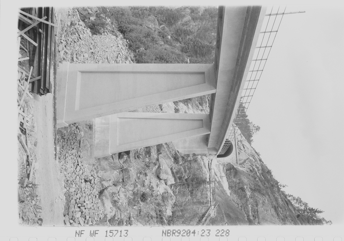 Anders Beer Wilse, Prot: Hunsdalen Viadukt