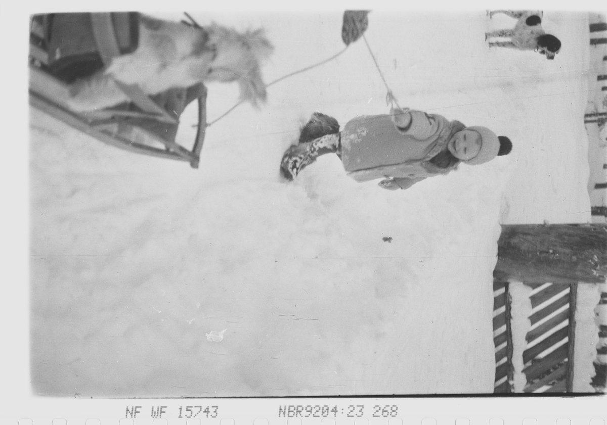 Anders Beer Wilse, Prot: Sverre Herbert, sön 12/1-43