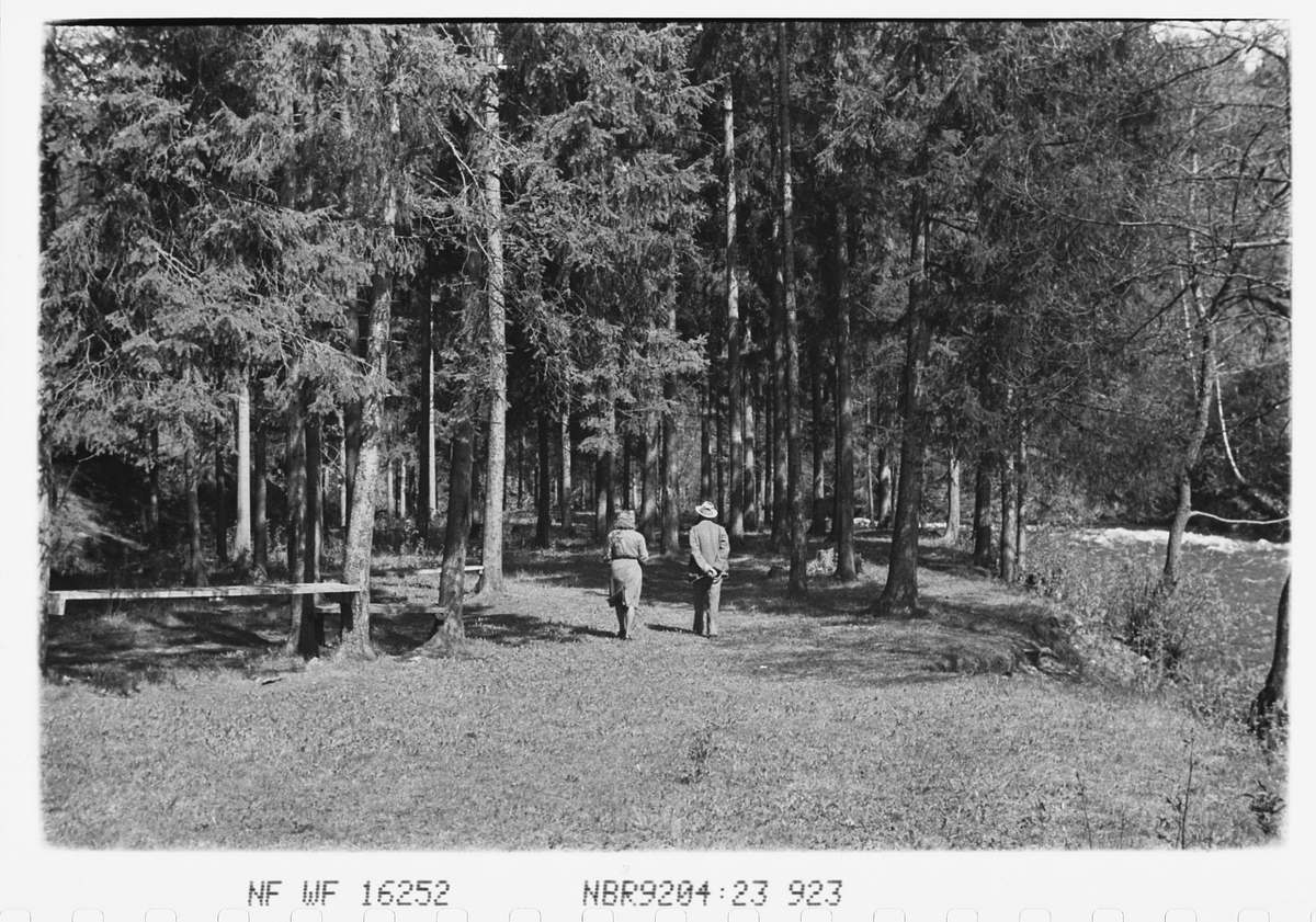 Anders Beer Wilse, Prot: Parken langs elven ved Jar