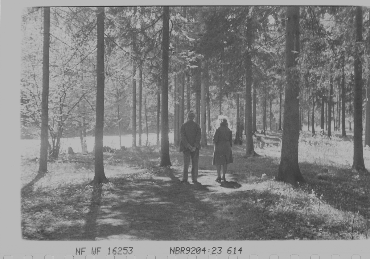Anders Beer Wilse, Prot: Parken langs elven ved Jar