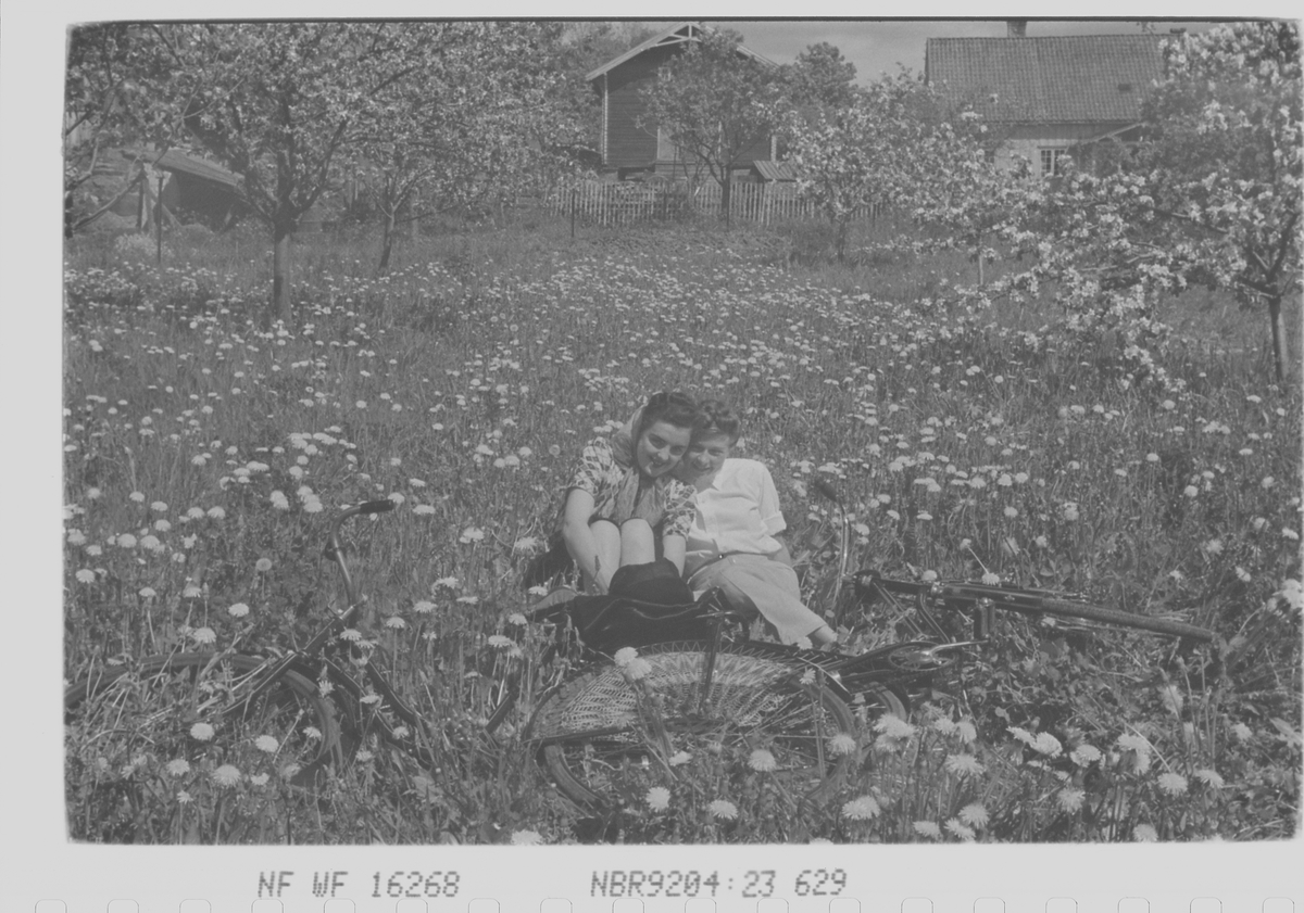 Anders Beer Wilse, Prot: dame blomster