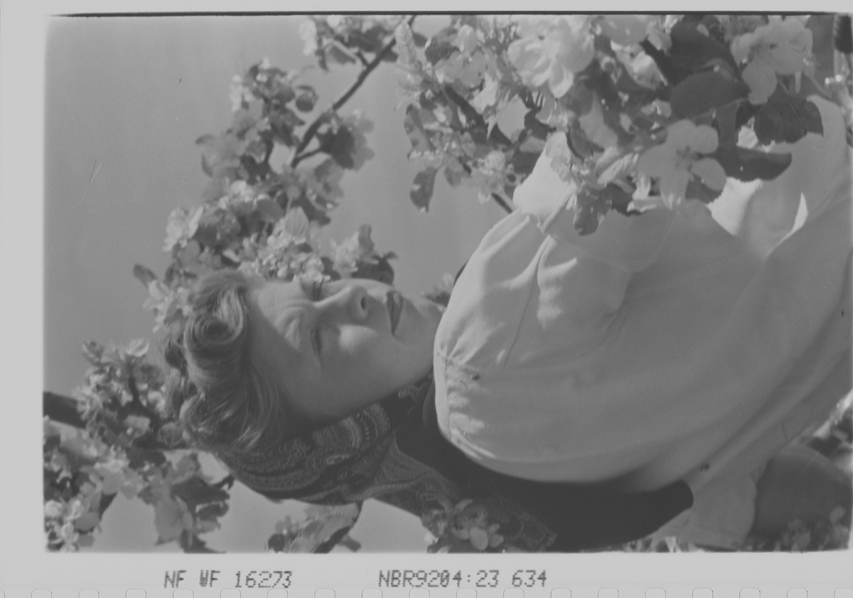 Anders Beer Wilse, Prot: dame fruktblomstgren