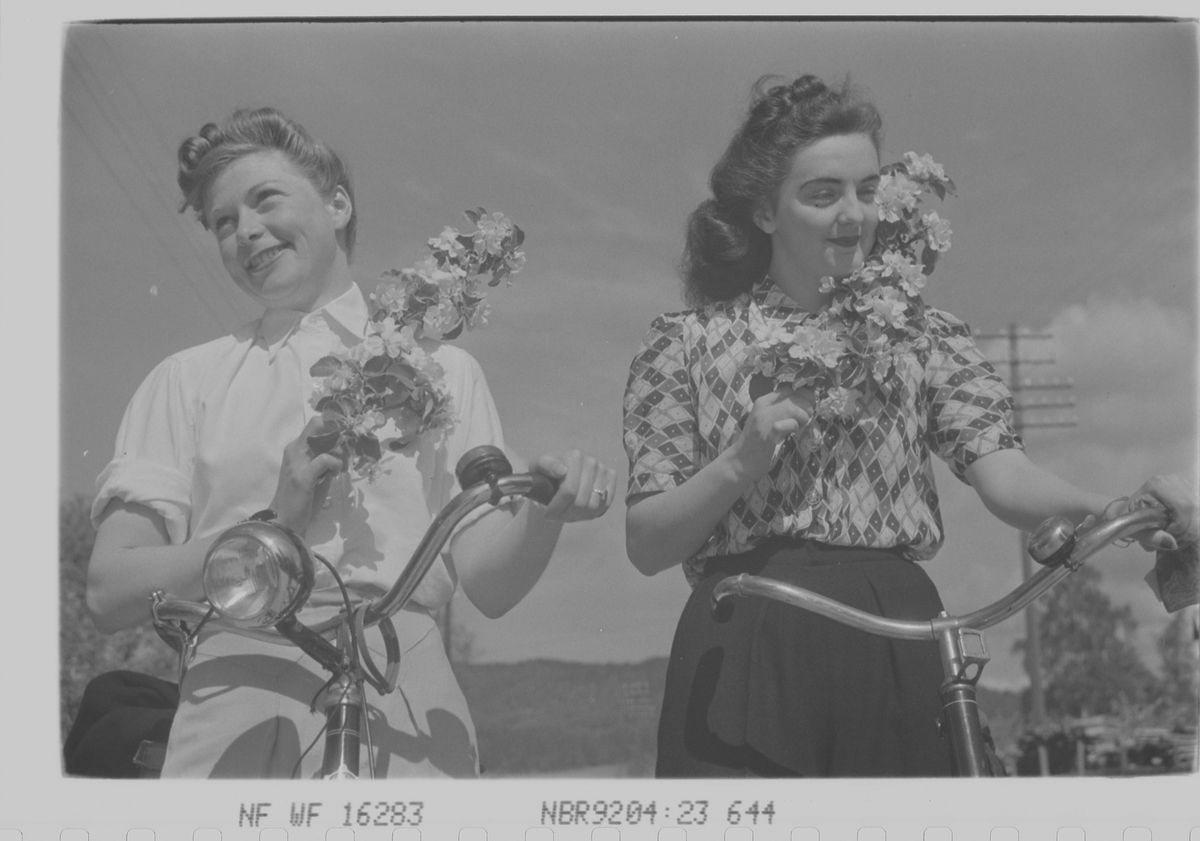Anders Beer Wilse, Prot: dame fruktgren