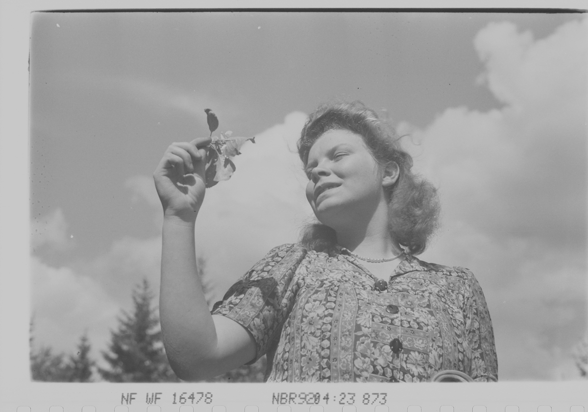 Anders Beer Wilse, Prot: Dame og Blomst
