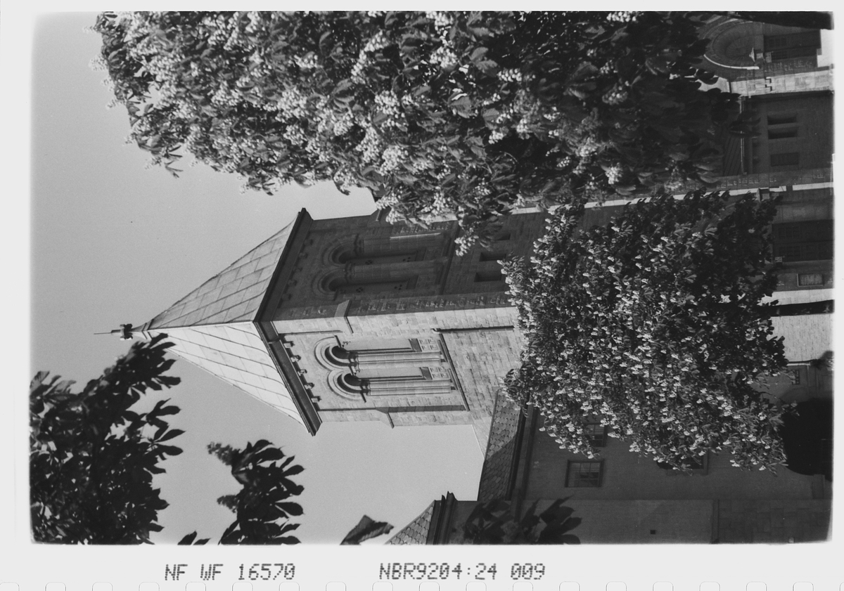 Anders Beer Wilse, Prot: Frogner Kirketårn. Kastanjeblomst
