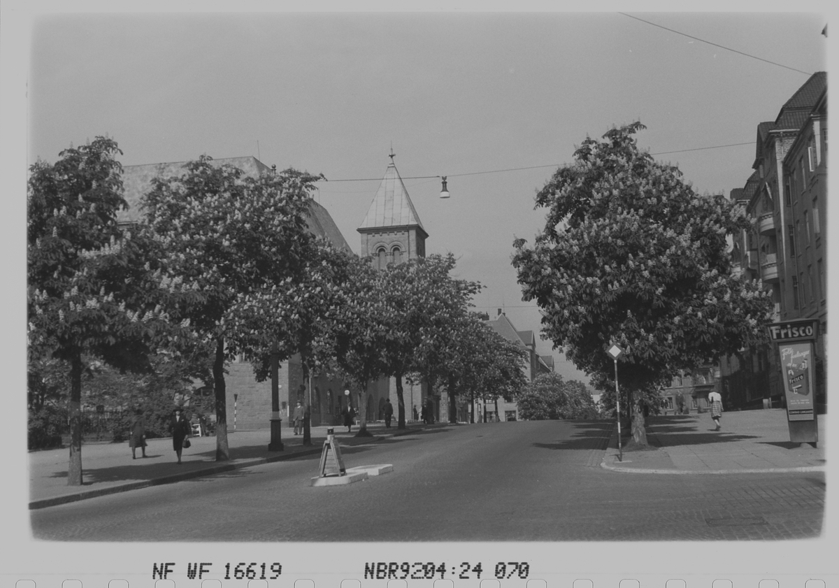 Anders Beer Wilse, Prot: Frogner Kirke Kastanjer