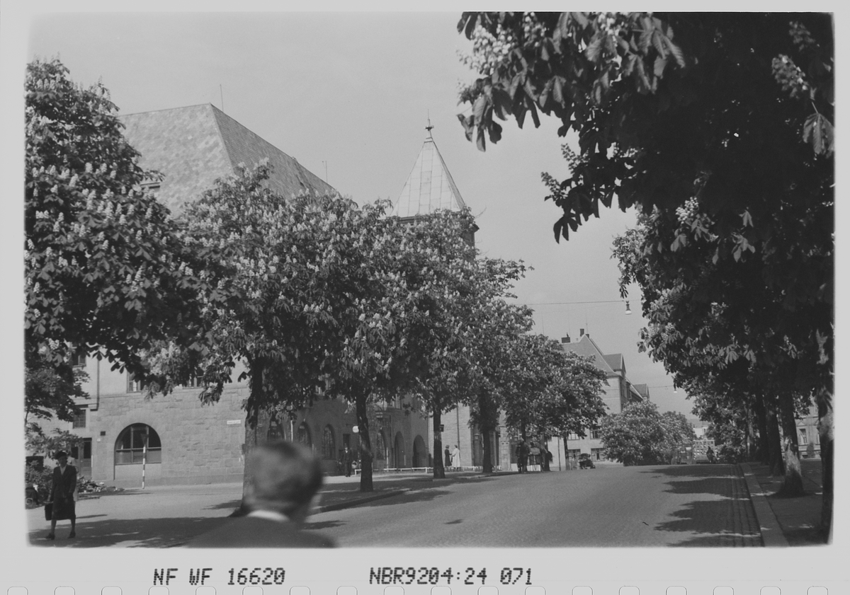 Anders Beer Wilse, Prot: Frogner Kirke Kastanjer