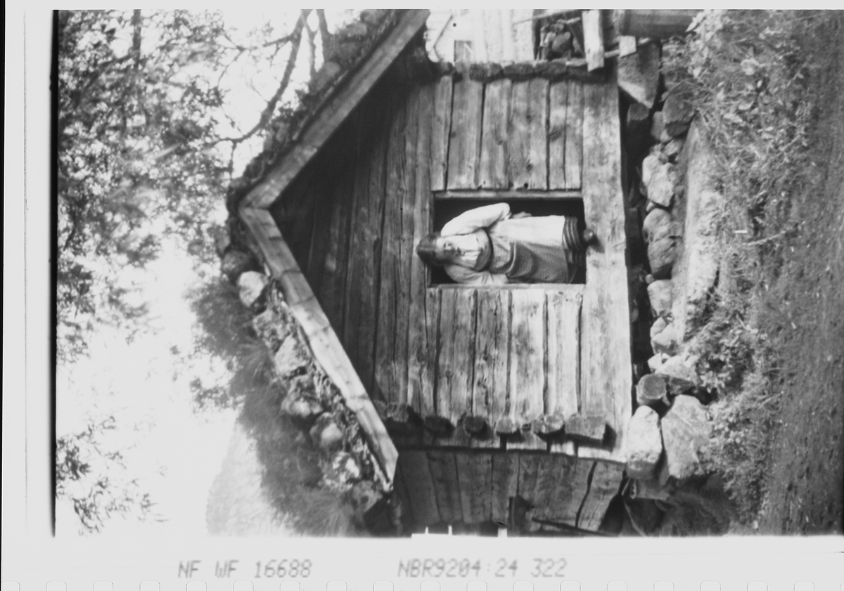 Anders Beer Wilse, Prot: Setesdalskone Kvernhus.