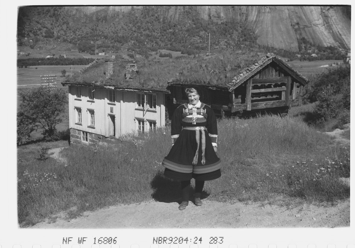 Anders Beer Wilse, Prot: Valle Telefonstasjon