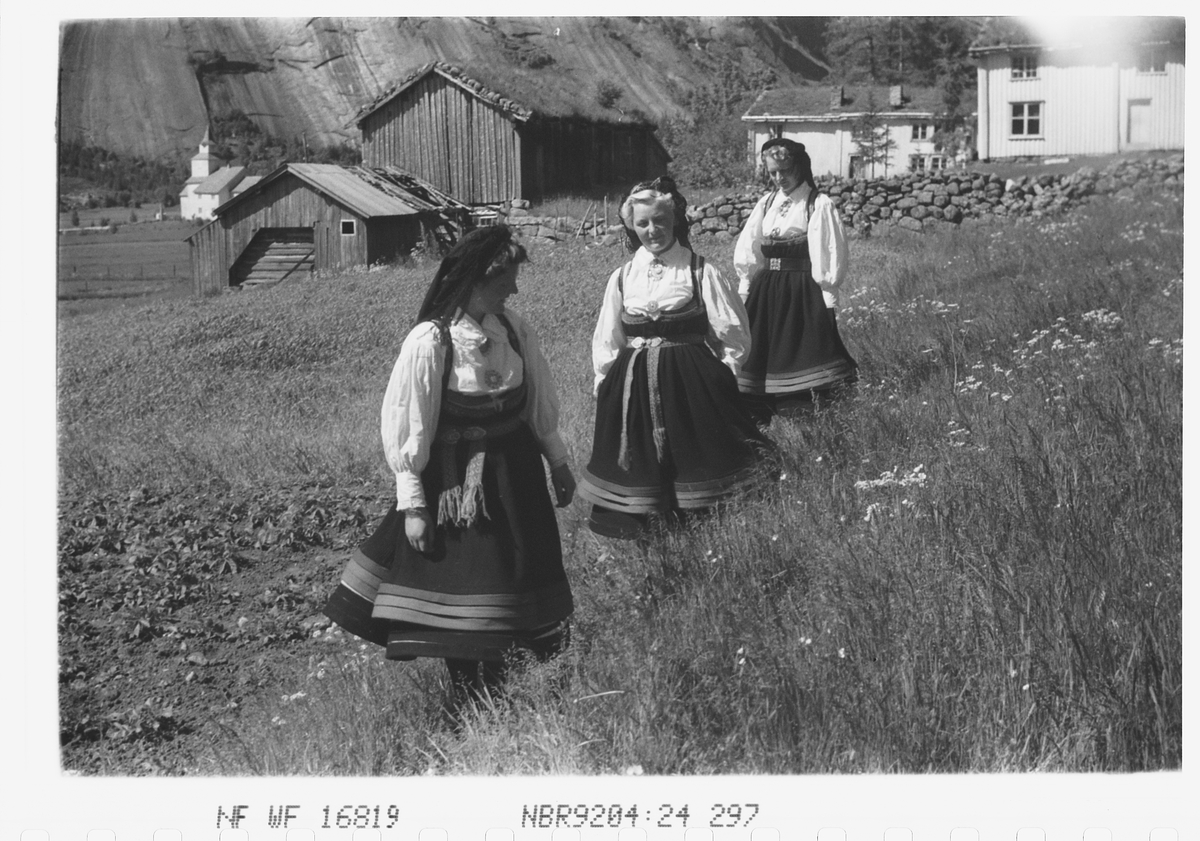 Anders Beer Wilse, Prot: Setesdalsjenter