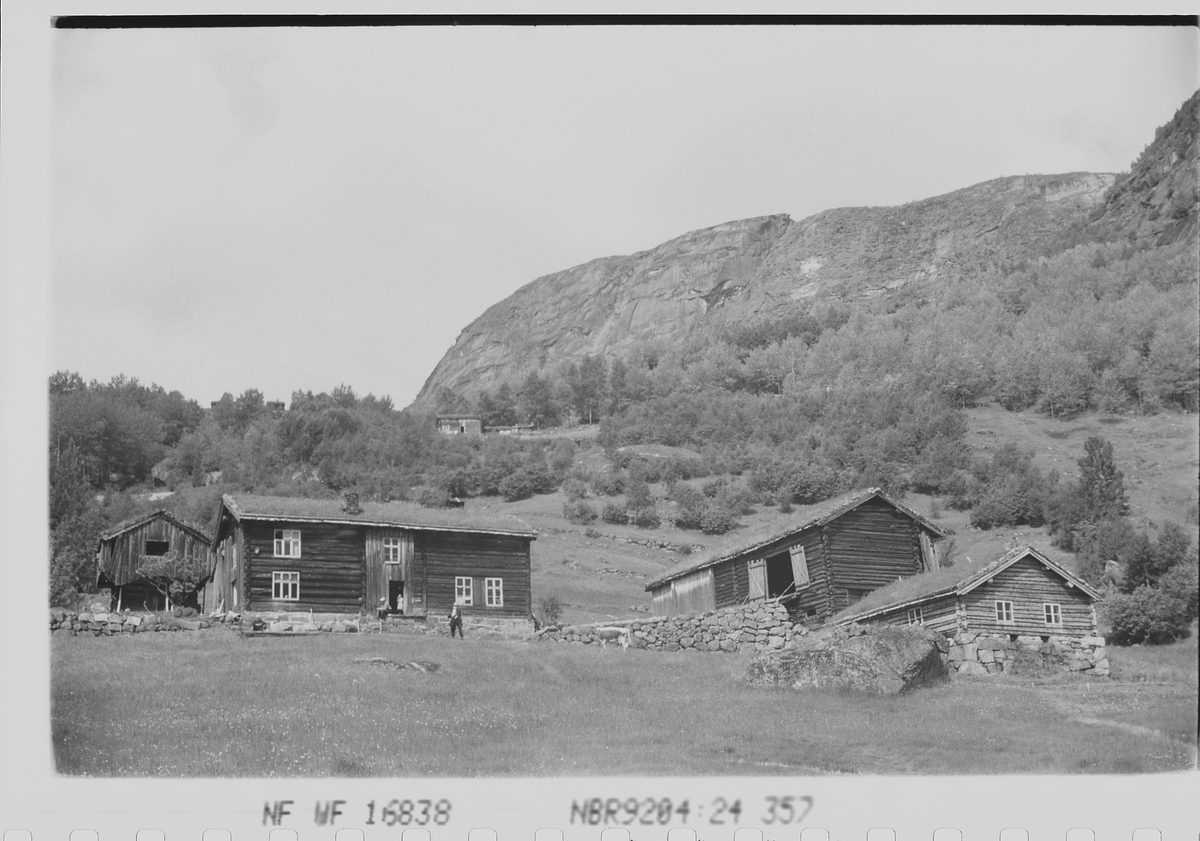Anders Beer Wilse, Prot: Setesdalsgård