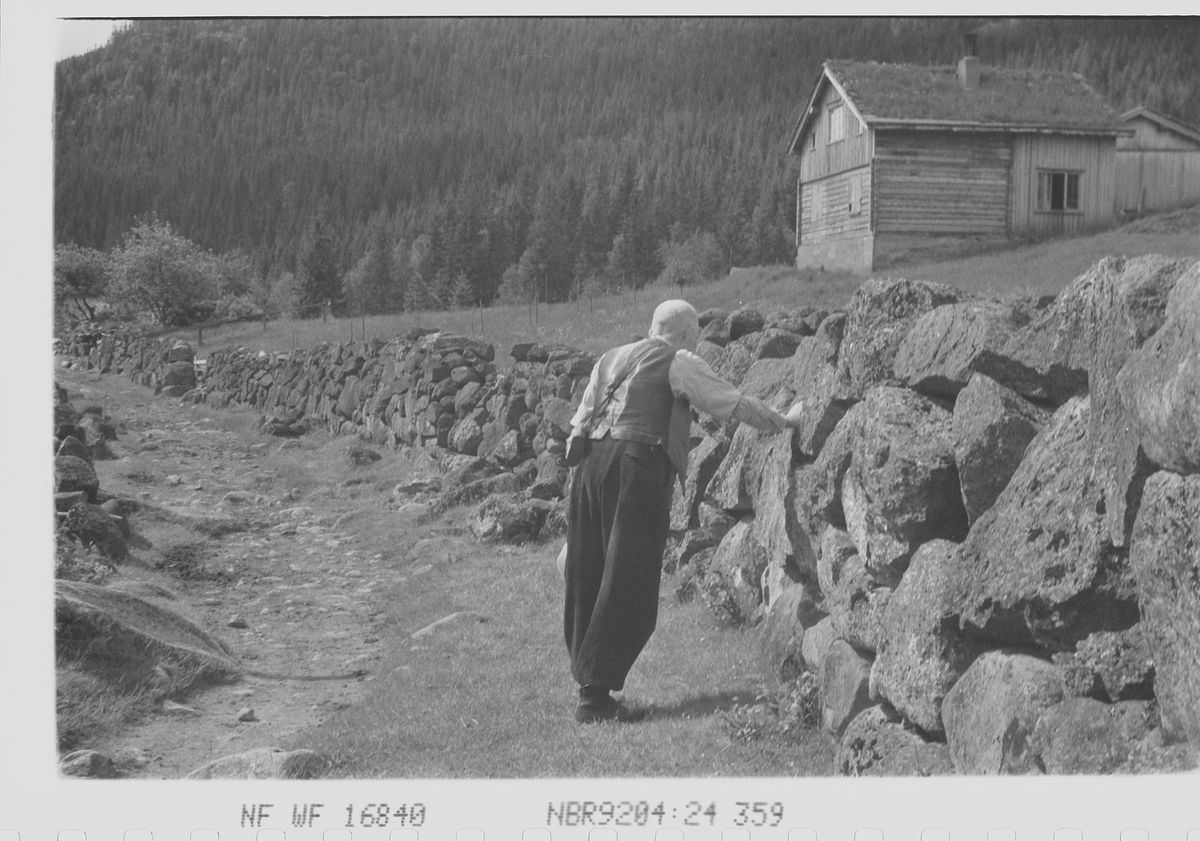 Anders Beer Wilse, Prot: Setesdalskona (feil i prot)