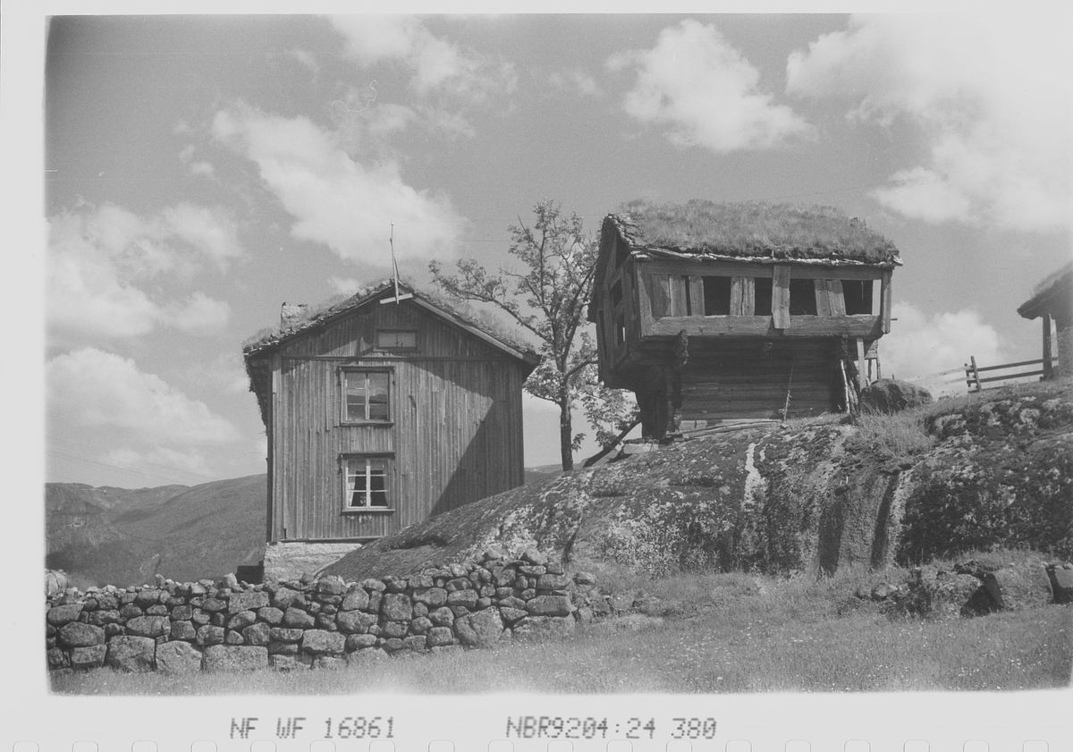 Anders Beer Wilse, Prot: Setesdalsgård med Stabur