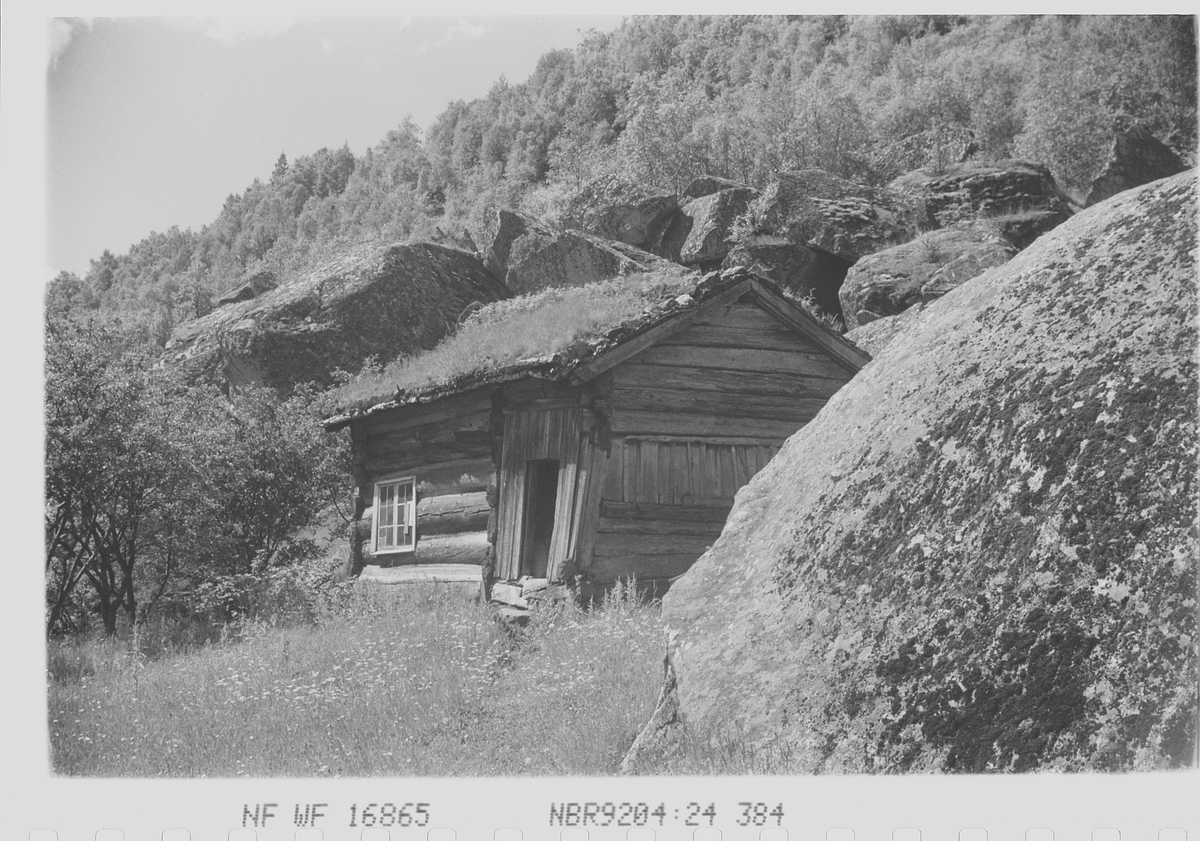 Anders Beer Wilse, Prot: Setesdalsgård