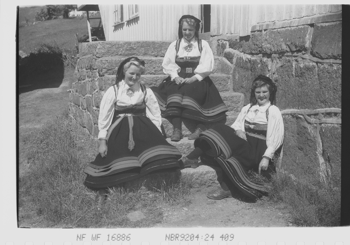 Anders Beer Wilse, Prot: Setesdalspiker