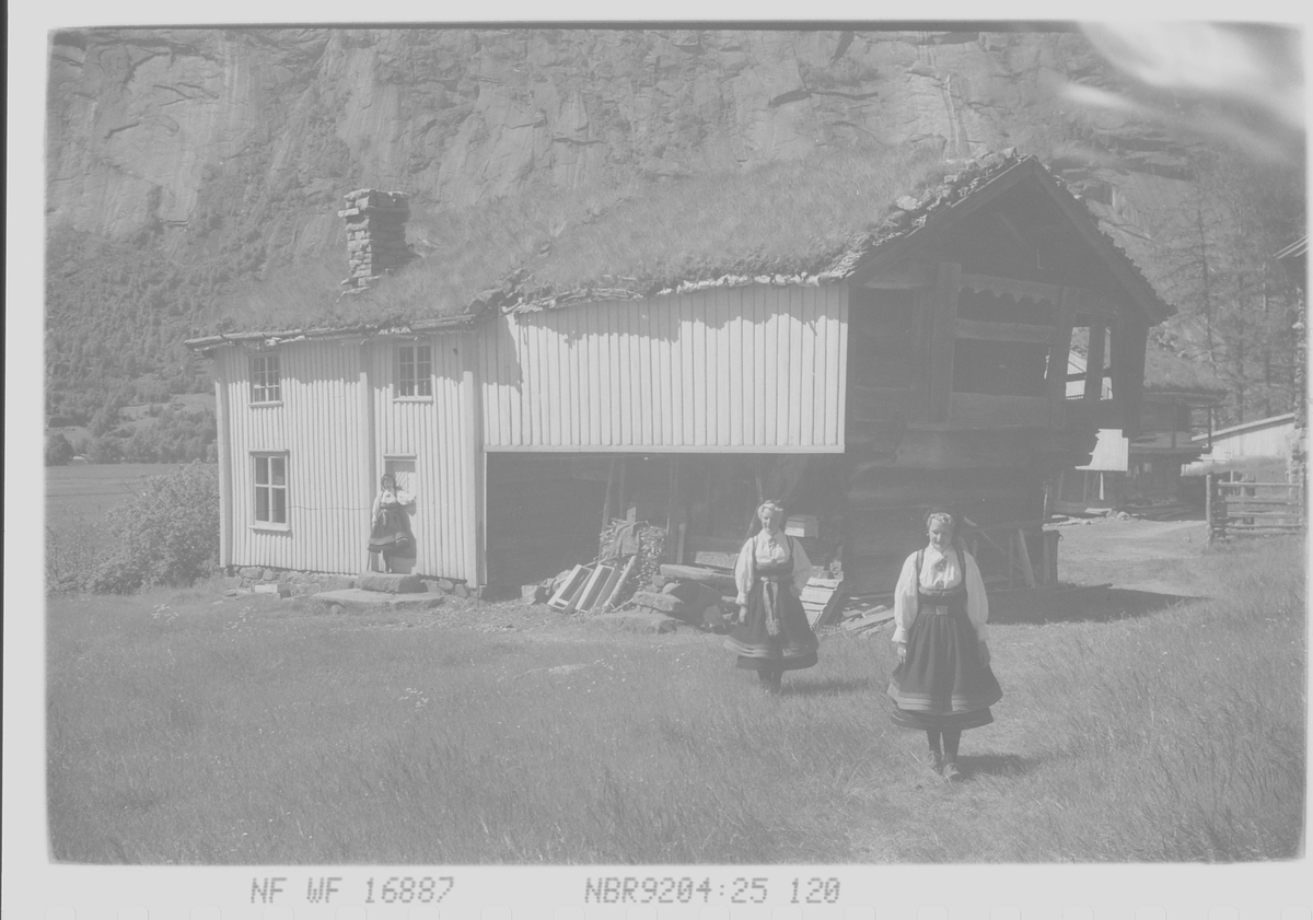 Anders Beer Wilse, Prot: Setesdalspiker med gård