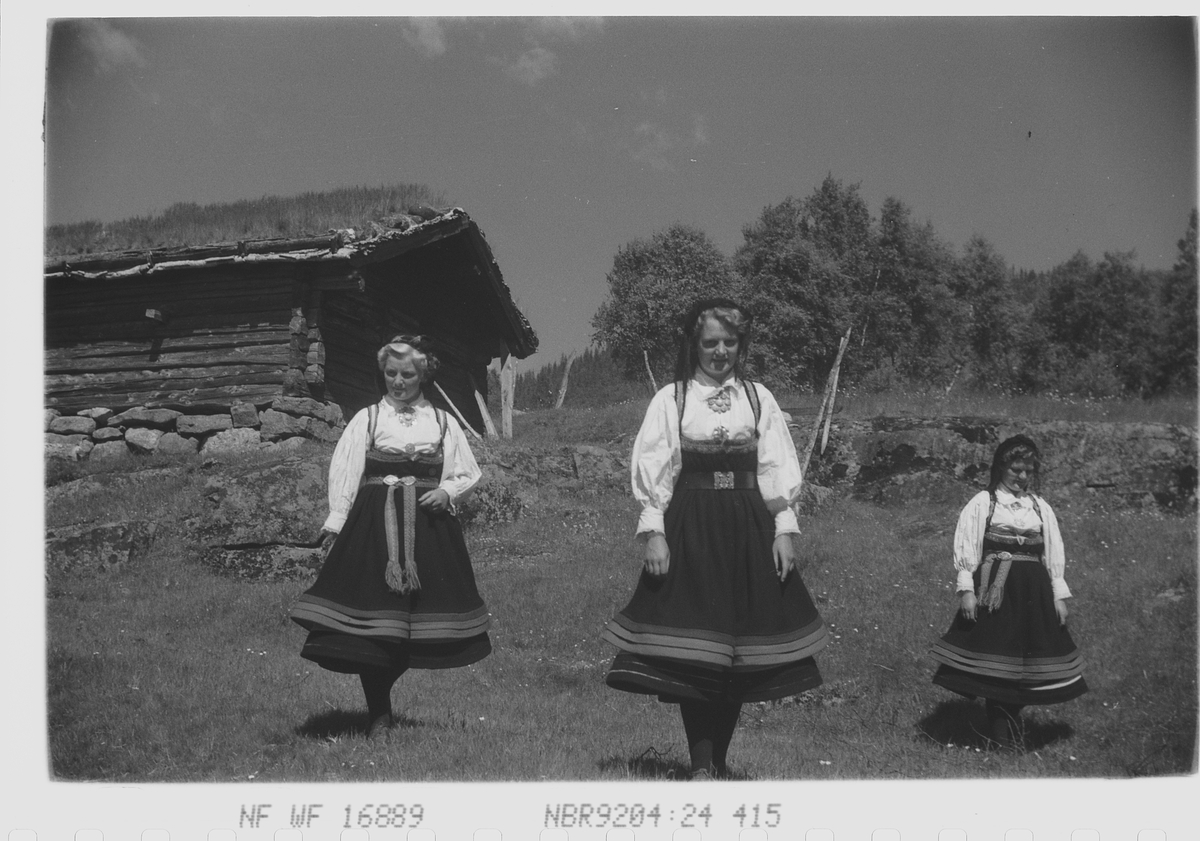 Anders Beer Wilse, Prot: Setesdalspiker med gård