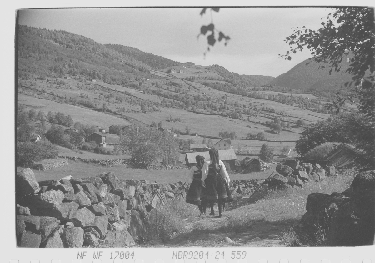 Anders Beer Wilse, Prot: Setesdalen ved Valle