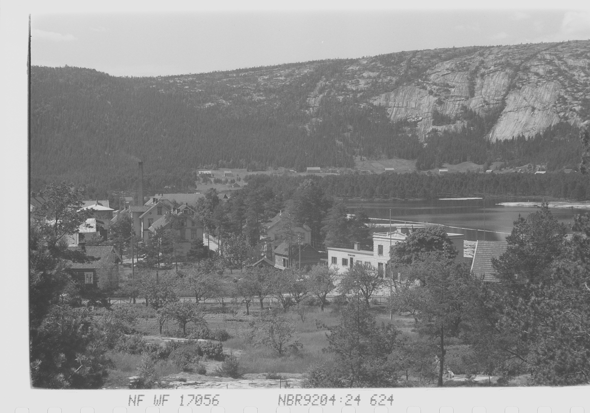 Anders Beer Wilse, Prot: Byglandsfjord