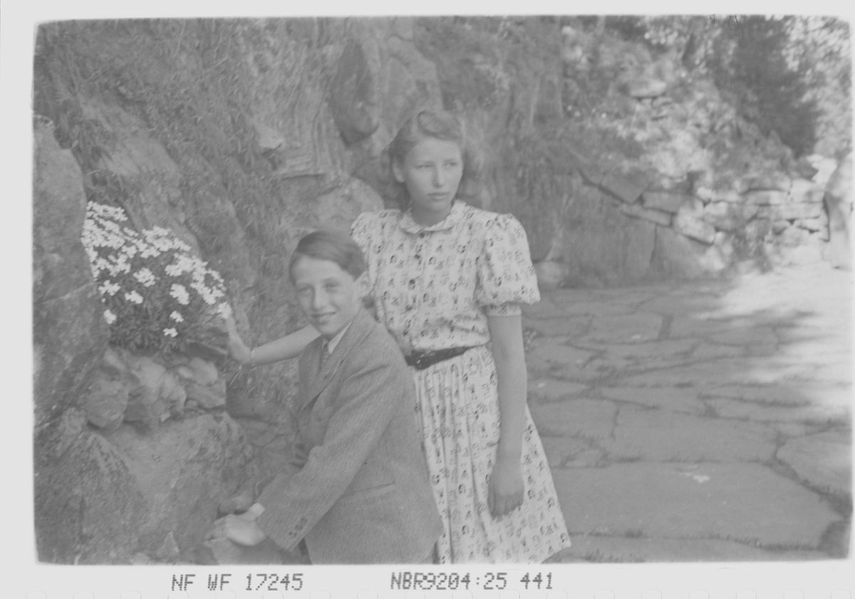Anders Beer Wilse, prot: Kronprinsfam. Skaugum mai 1946