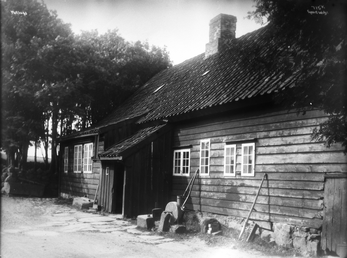 Anders Beer Wilse, prot: Motland Gaardsperti 5/7