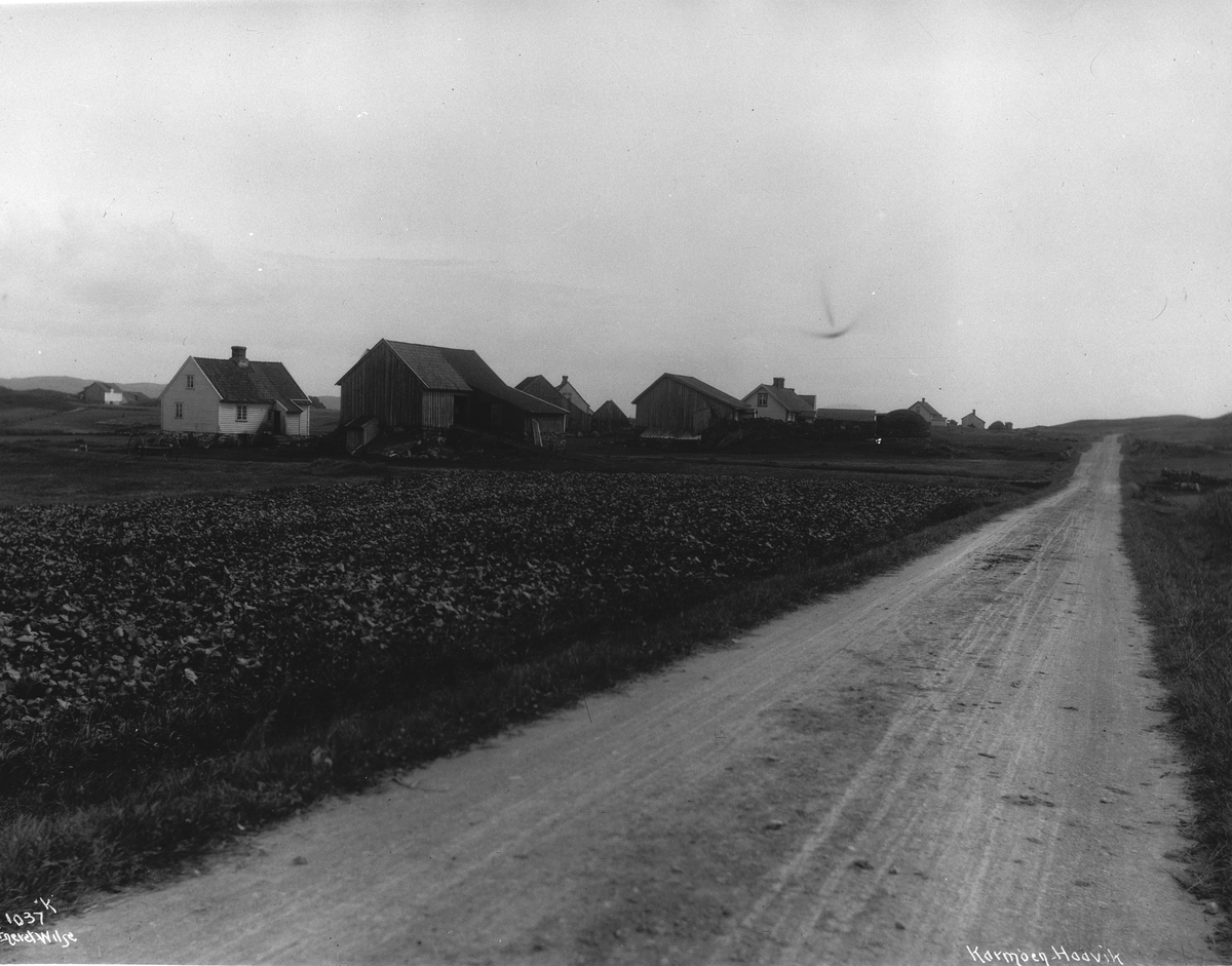 Anders Beer Wilse, prot: Karmøen Haavik