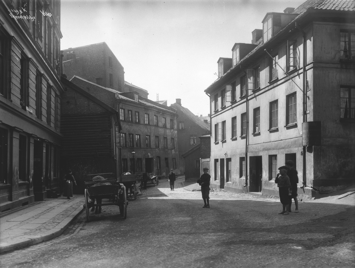 Anders Beer Wilse, Prot: Christiania Vika - Gadeparti