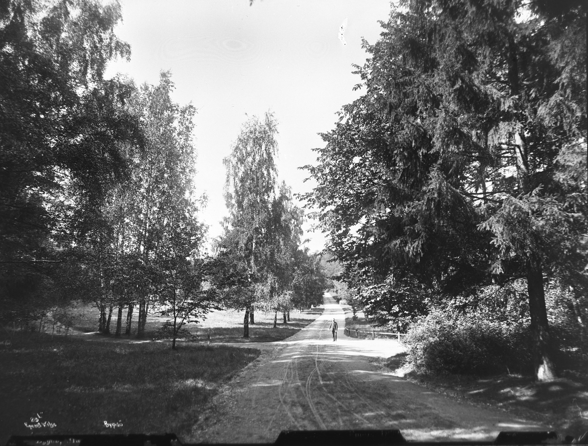 Axel Lindahl, Prot: Bygdø, Fra Parken ved Oscarshald