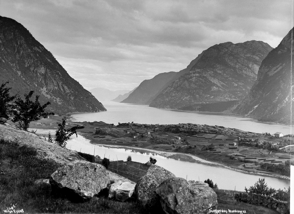 Axel Lindahl, Prot: Hardanger. Parti af Sørfjorden seet fra Knudsens gartneri