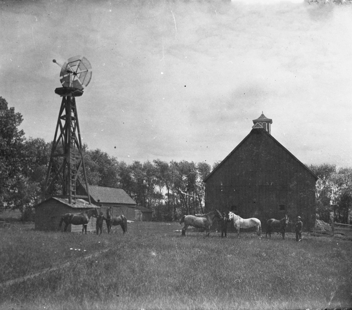 Ukjent, Farm i USA, menn og hester