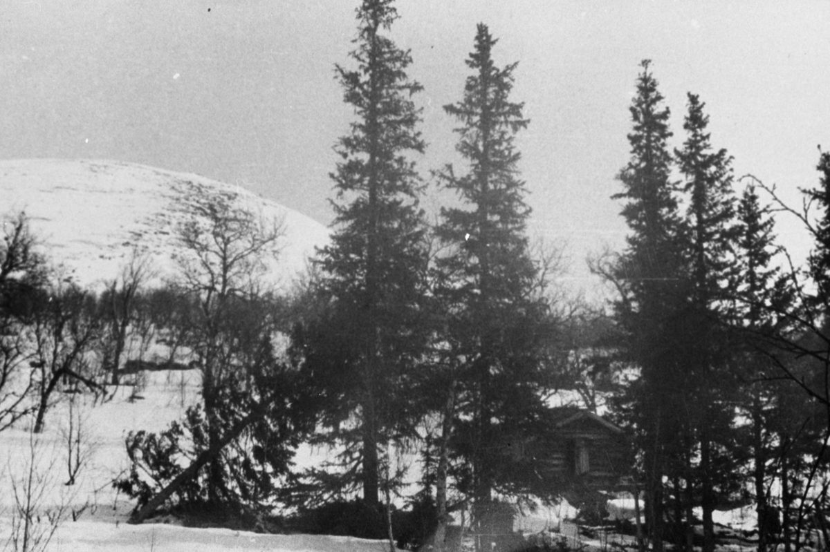 Oddvar Dobloug, Ljørbua ved Ruudshytta i Stor-Elvdal (Se også MINØ.037931)