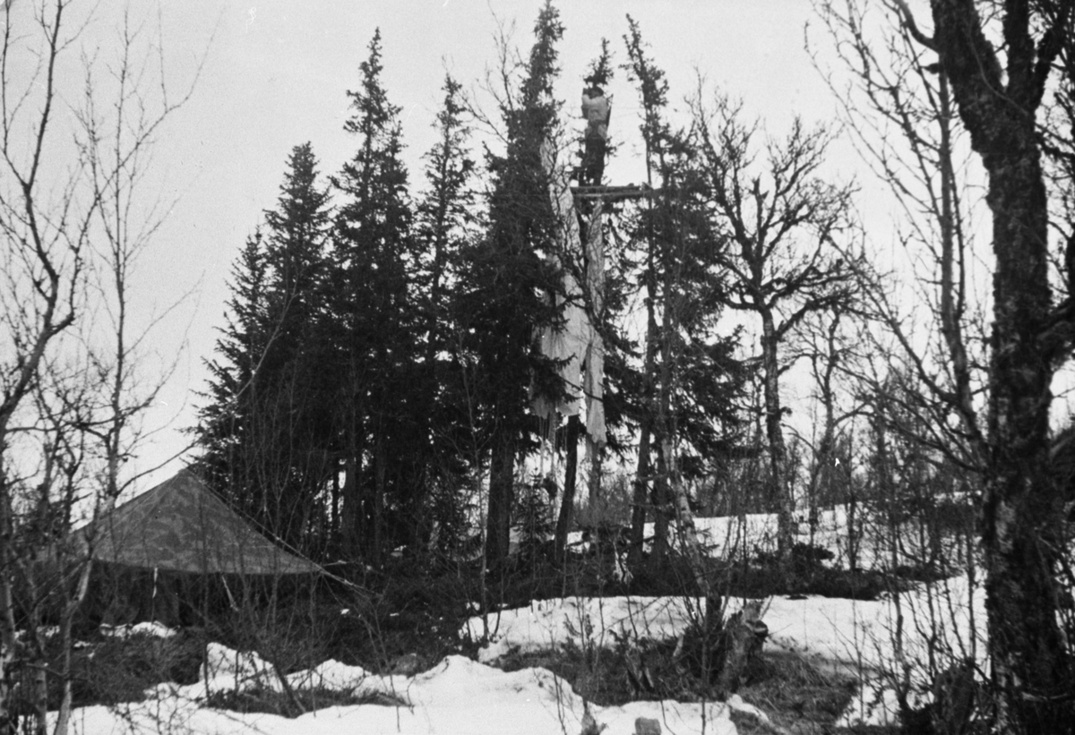 Oddvar Dobloug, Grebe Red-medlem i vakttårn ved Ruudshytta.(Se også MINØ.037964)
