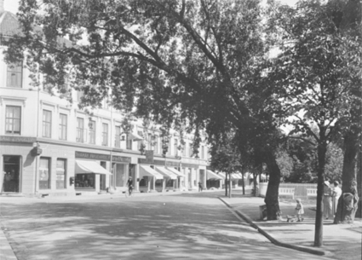 Anno Domkirkeodden, Eksteriør, bygård, Strandgata 55 i Hamar. Bygningen ble bygget i 1879/1880. Løveapoteket hadde lokaler her fra 1891 til de flyttet til Torggata i 1975. Hamar farvehandel. Løveapoteket var Hamars andre apotek, og åpnet sine døre 31. oktober 1891 i Strandgata 55. Her ble apoteket værende fram til det…