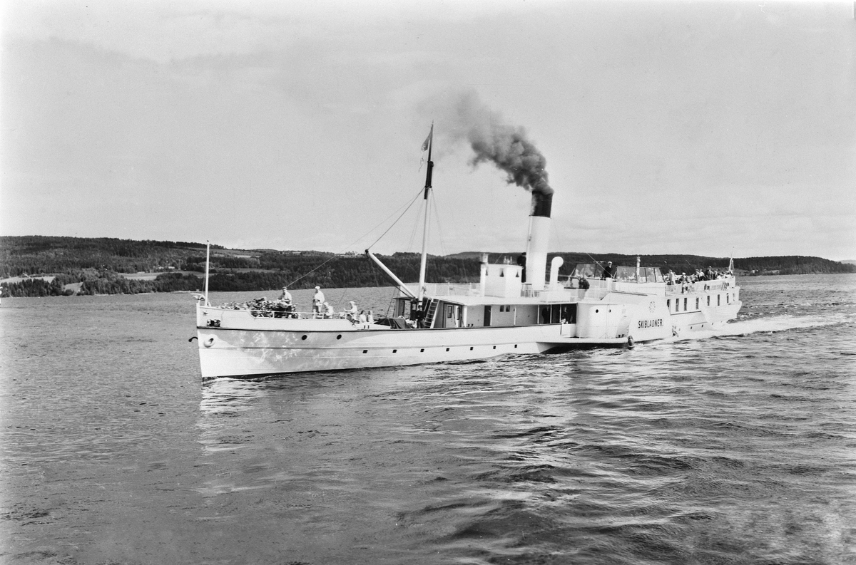 Anno Domkirkeodden, D. S. SKIBLADNER PÅ MJØSA, MJØSBÅT