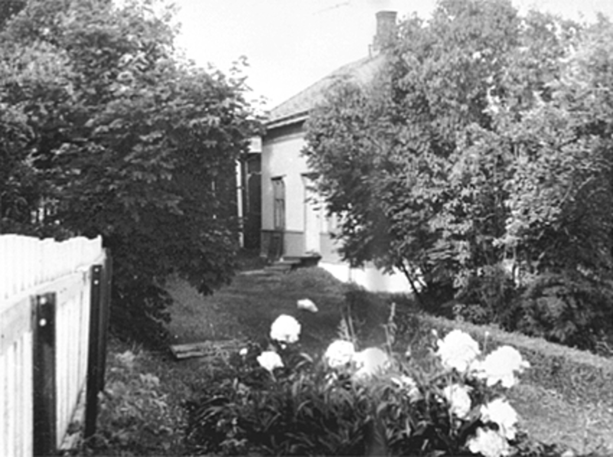 Anno Domkirkeodden, EKSTERIØR STRANDE, NEDRE BRISKEBYVEG 13, HEGEN I FORGRUNNEN, BRISKEBYEN