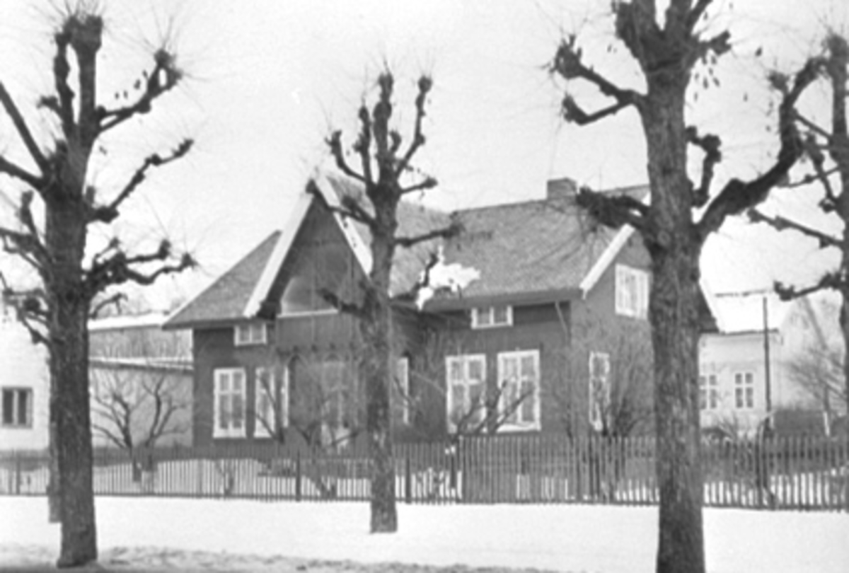 Anno Domkirkeodden, EKSTERIØR STANGEVEGEN 64, ALLÈ