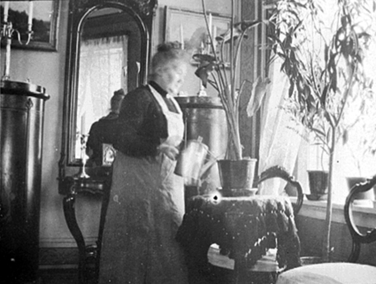 Anno Domkirkeodden, INTERIØR STUE, ANNE WALBERG VANNER BLOMSTER