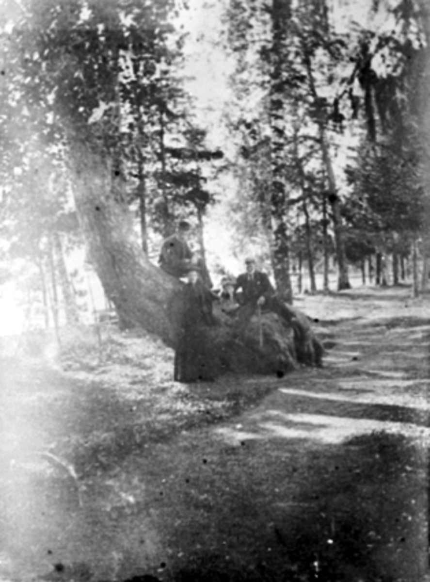 Anno Domkirkeodden, GRUPPE 4, HERMAN, MAGDALENA, TUPPEN, HANS VED "MUNKEN" PÅ RIDEHUSSTRANDA STRANDPROMENADEN